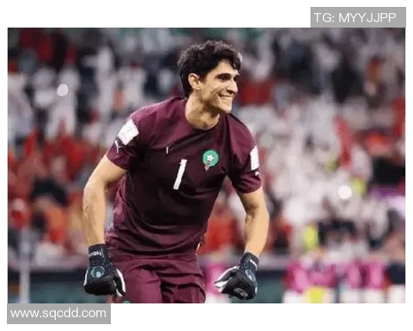 塞尔维亚足球明星崛起：引领球队走向世界巅峰的传奇之路