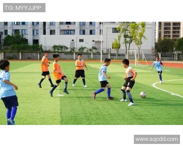 福清足球球星代表队伍名单及其成就回顾